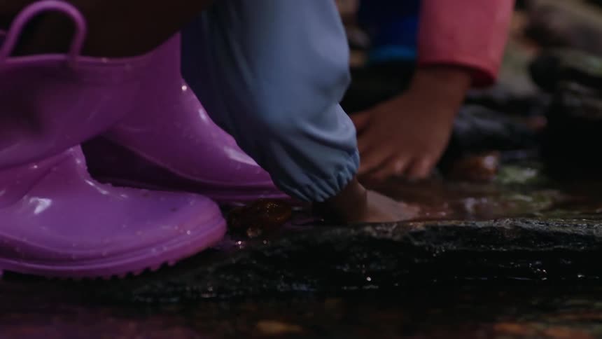 Two children wearing boots and picking up rocks from a small stream in the woods