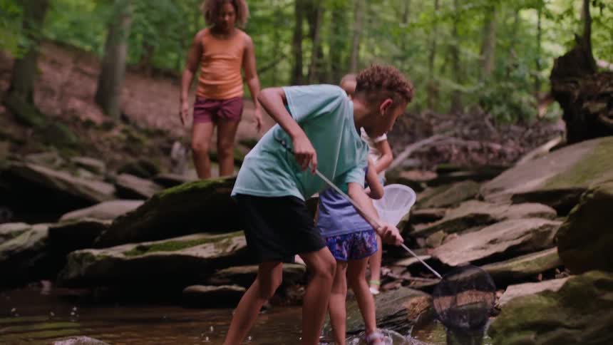 Children in a small stream by the forest playing with fishing bags during the day