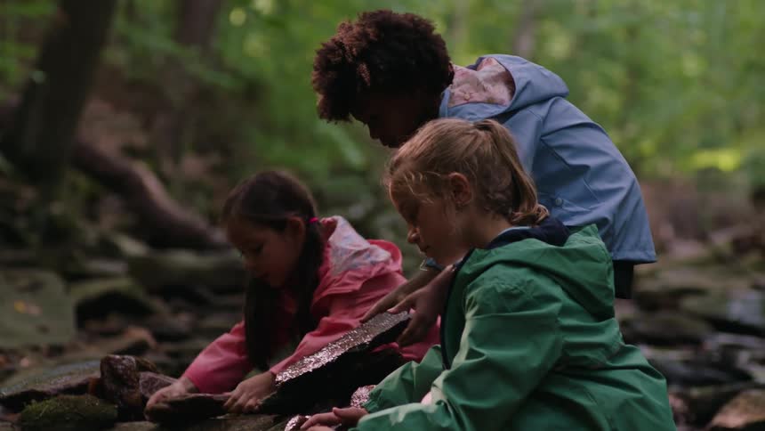 Three children in the woods playing with rocks