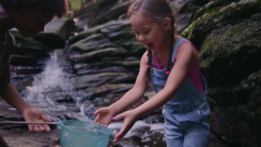 Children catch something in a small net from the creek