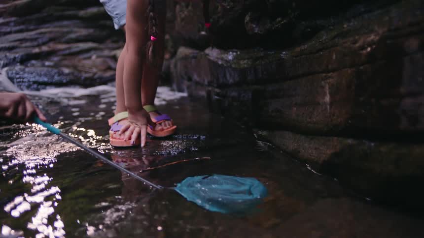 Girl wearing denim overalls and braids plays in river with net