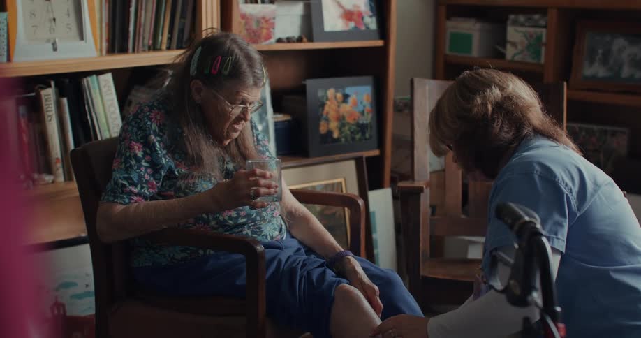A nurse assisting an elderly woman at home