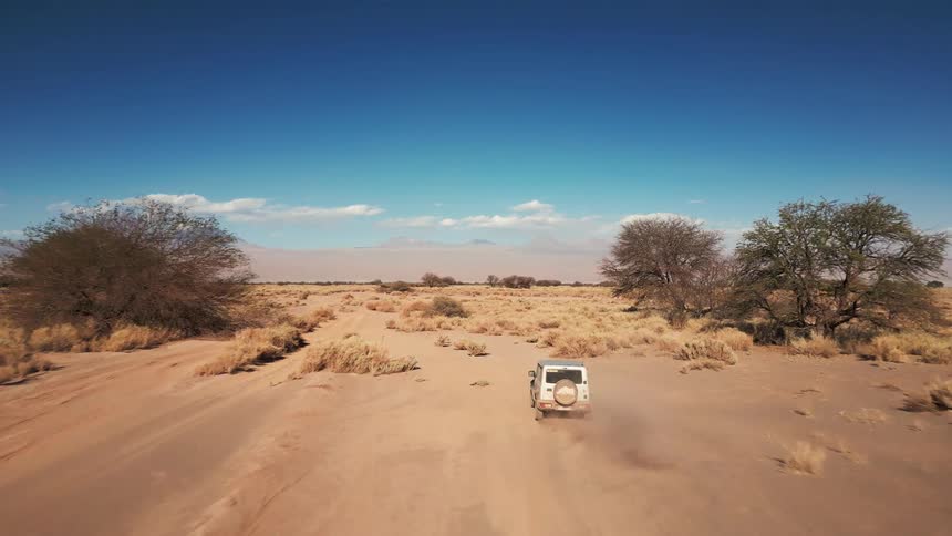 A white vehicle travels through a sandy desert with sparse trees under a clear blue sky