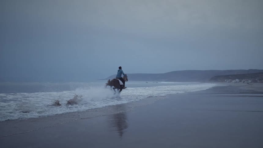 A person rides a horse by the sea with sea waves in the background