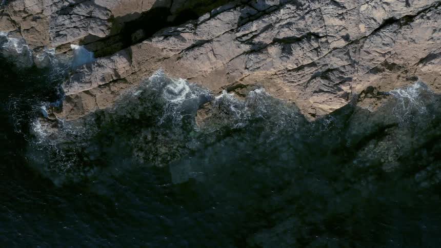 A bird flies over waves crashing on a shore