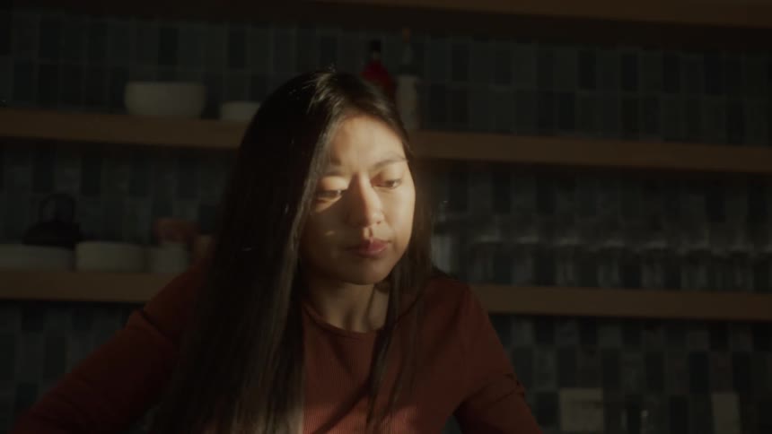 Portrait of a young asian woman at the counter of a restaurant wiping the countertop with a cloth