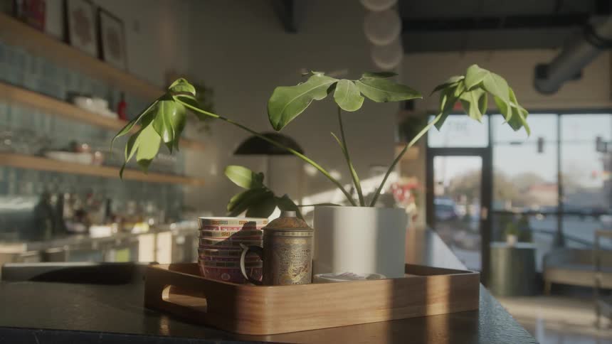 Tray with a potted plant bowls and a pitcher sits on the counter of a bar