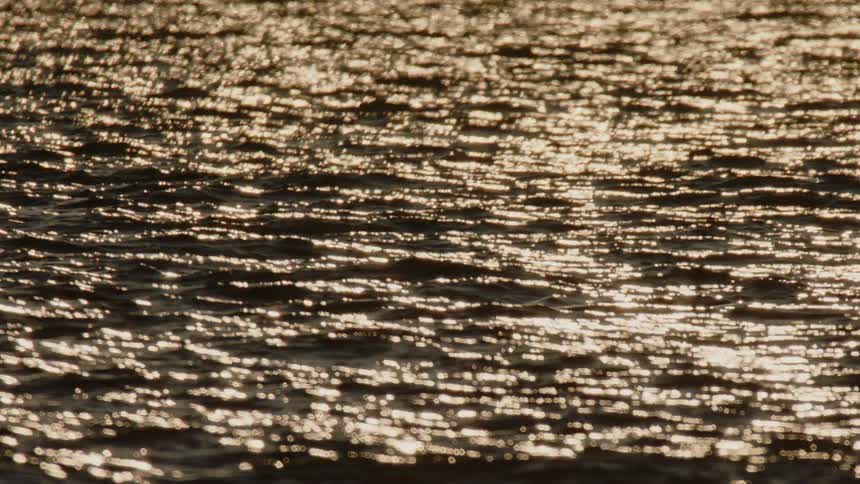 Sunlight shining on gentle ocean waves