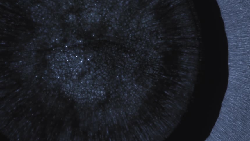 Black fluid expanding and a light and bright blue fluid or abstract appears