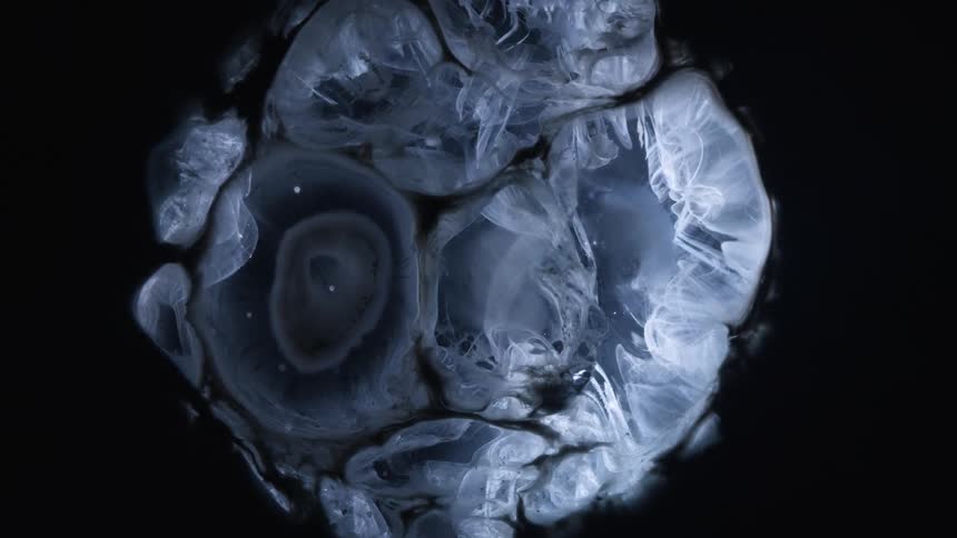 A computer effect of a smoky looking object growing larger