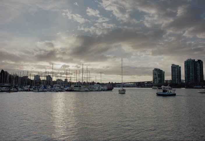 A wide shot of a marina with a city skyline