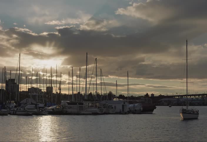 Sailboats docked in a harbour against the sunset
