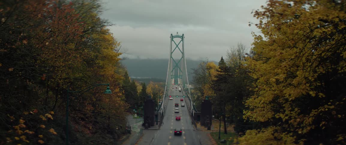Vehicles pass trees with fall foliage then cross Lions Gate Bridge under an overcast sky on a foggy day