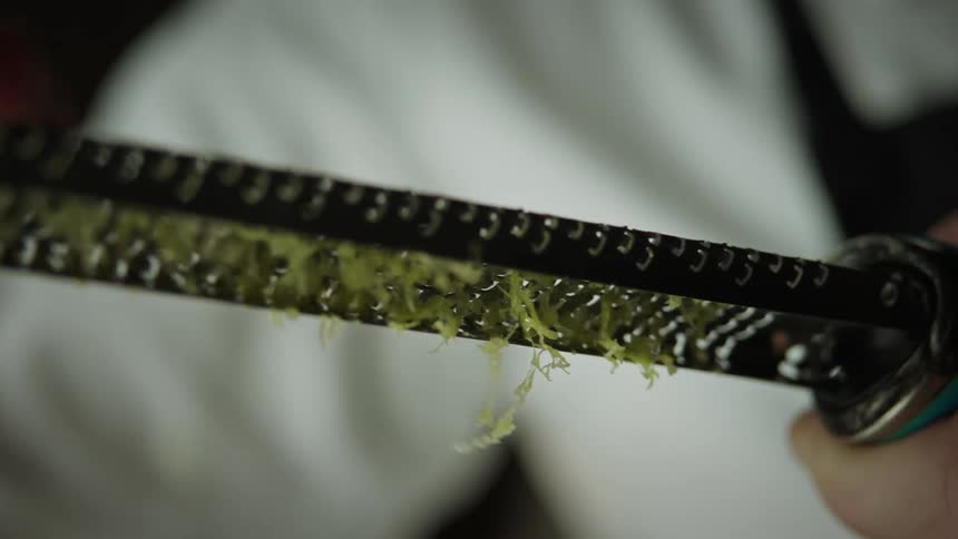 Closeup of a lemon being zest on a culinary stem