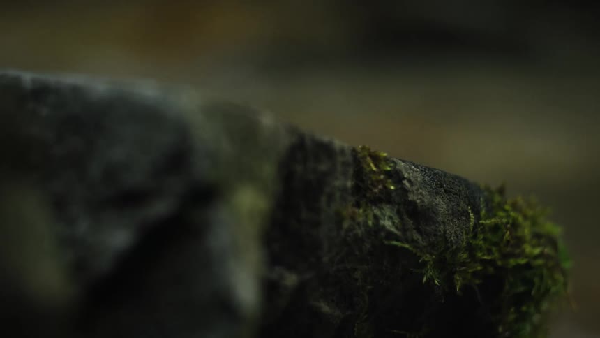 Rock with mud next to a tributary river with a blurred image