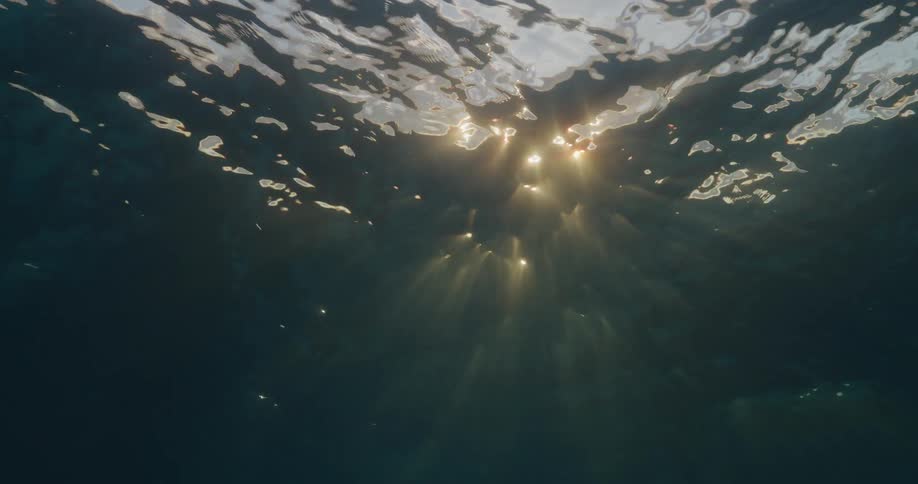 Into the sea with an upward view of the suns reflection on calm waves