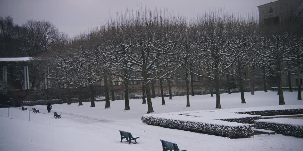 A snowy park with bare trees and green benches