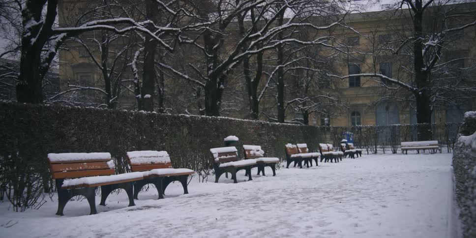 Benches covered in snow in a city park
