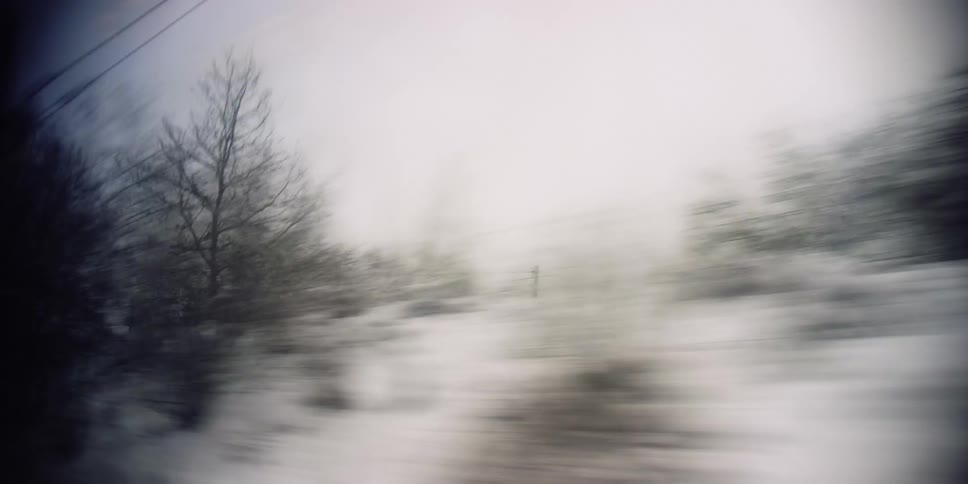 Moving view of conifers on snowcovered hills on a cloudy day
