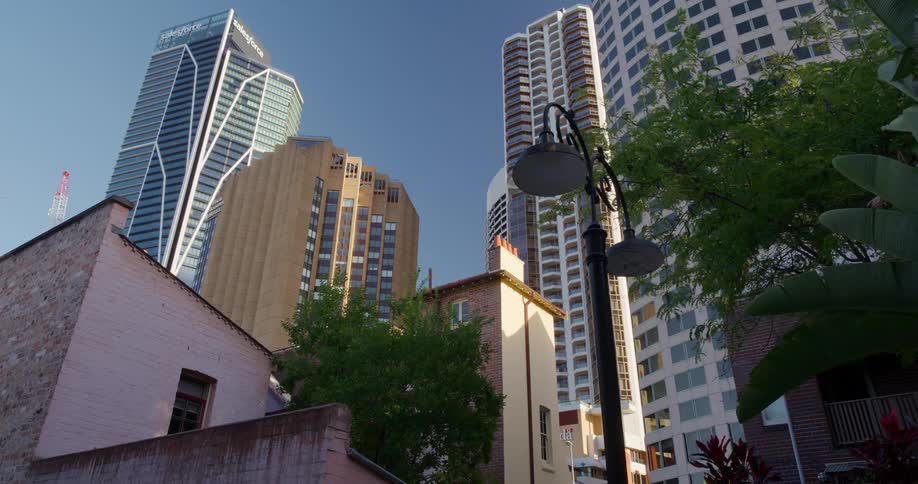 A block with several tall buildings and some trees with leaves moving due to the wind