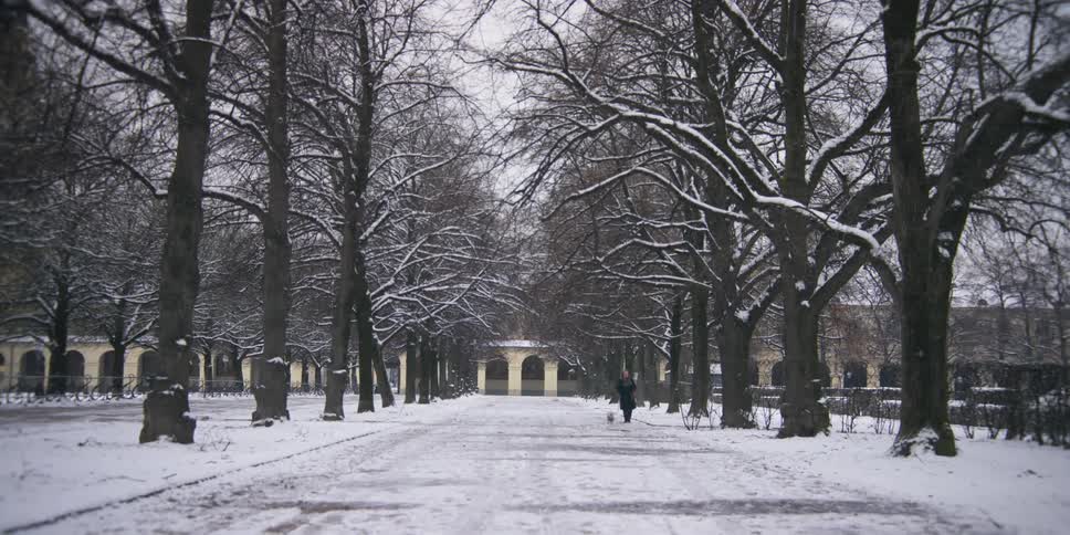 A woman walks her dog in a snow covered city park