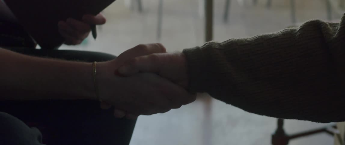 A male nurse shakes hands with an elderly patient at home