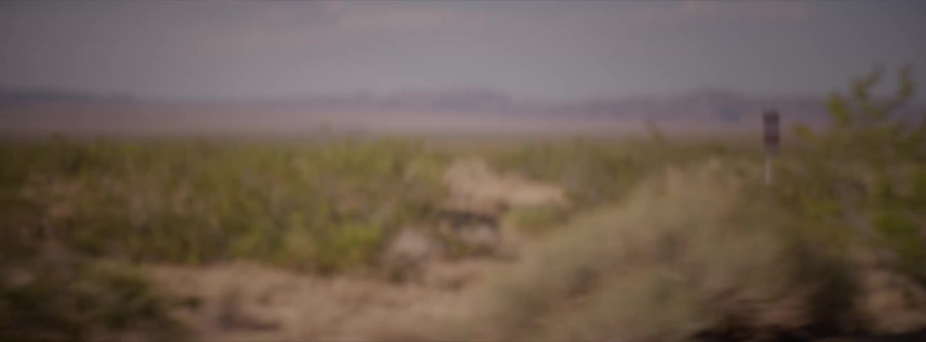 A cyclist pedaling on a desert road