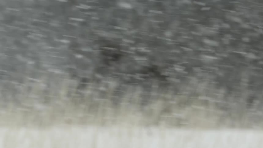 Heavy snow falling on a field at winter