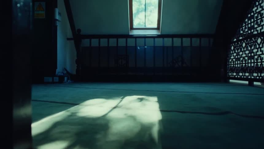 Interior of a residence with a window that reflects the shadows of a tree and the suns reflection