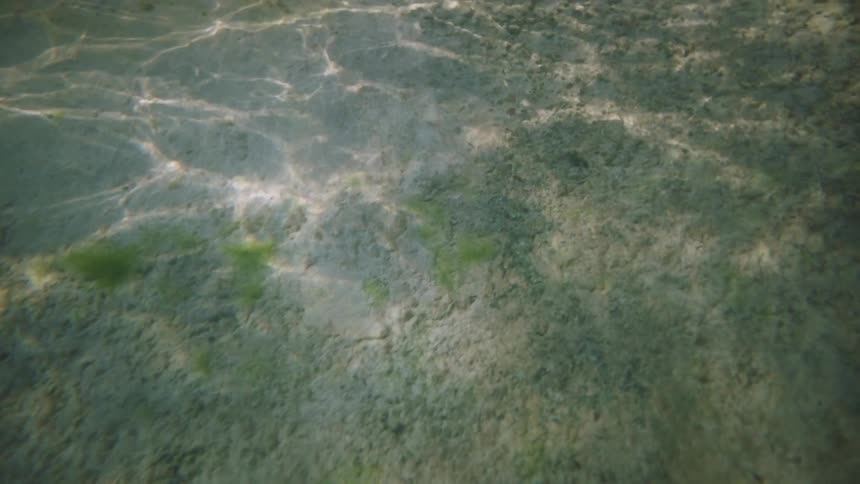 Sunlight shines on water as ripples reflect on the seabed