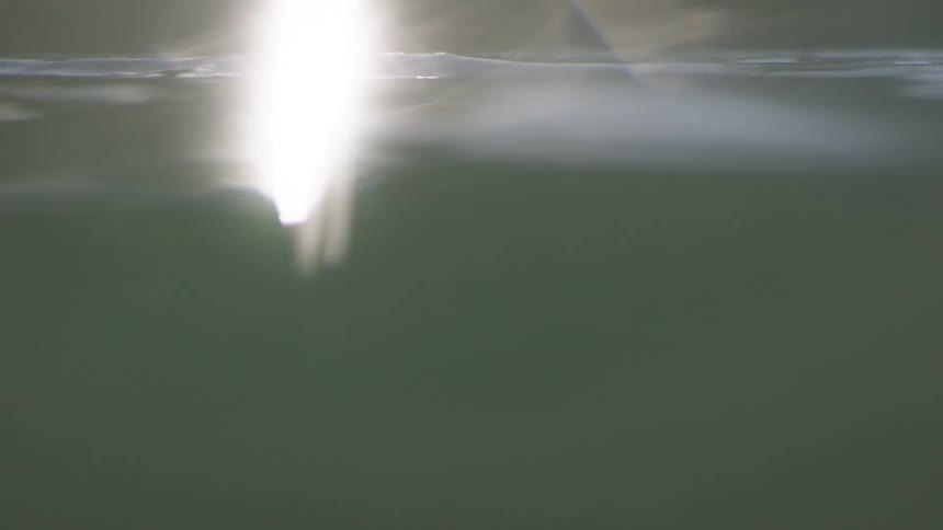 Light flares in water