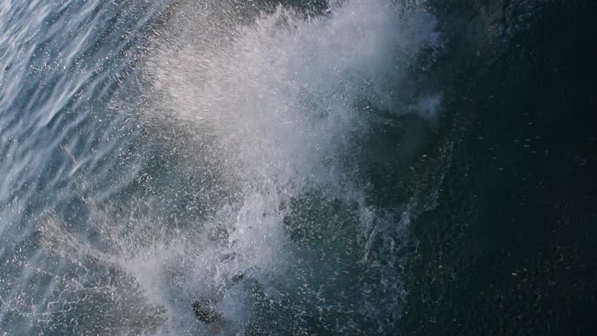 Three people jump in the water together