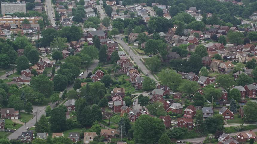 Vehicles drive through wooded residential neighborhood