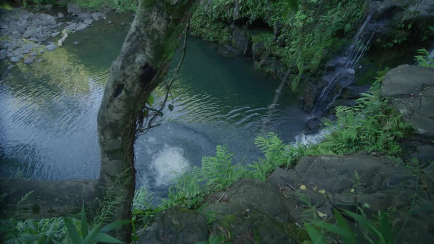 A man swings on a rope and drops into a pool of water