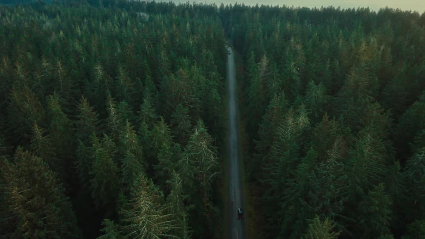 Vehicle moves along road through conifer forest bordering the water under a red tinted horizon