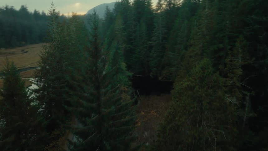 A car drives along a road cutting through a forest