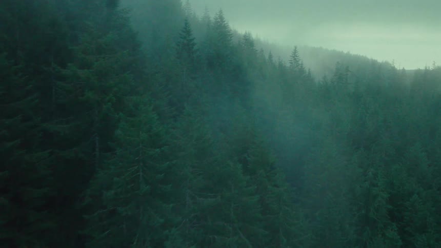 Aerial panorama of a foggy forest on a cloudy day