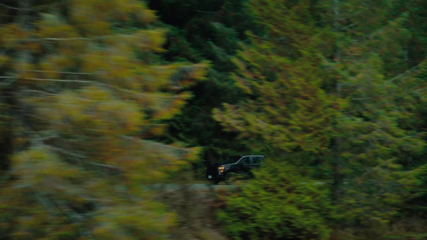 A truck drives on a road in a forest