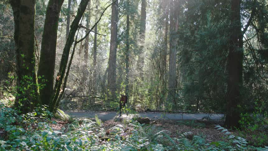 A female hiker walks along a remote road in a rain forest during the springtime