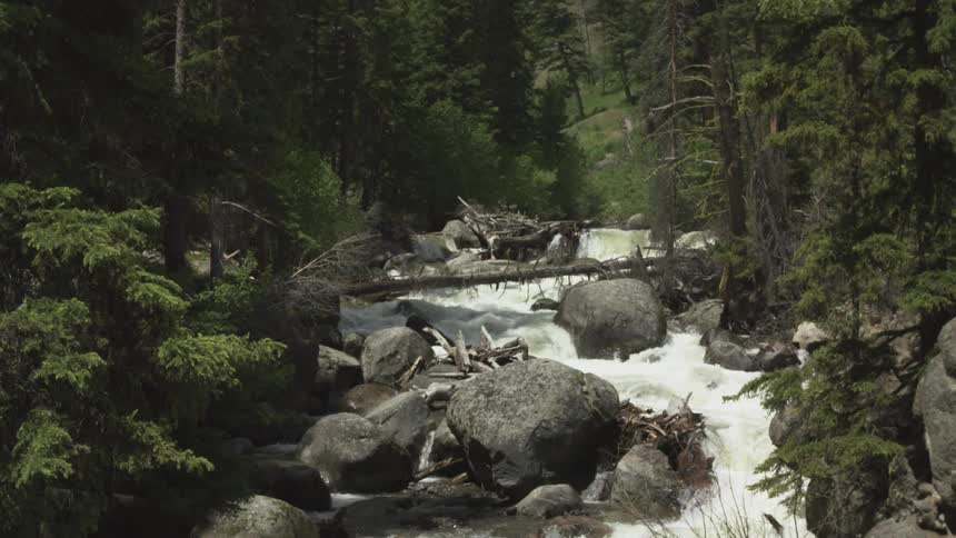 Landscape of a flowing river amidst rocks and a forest in slow motion