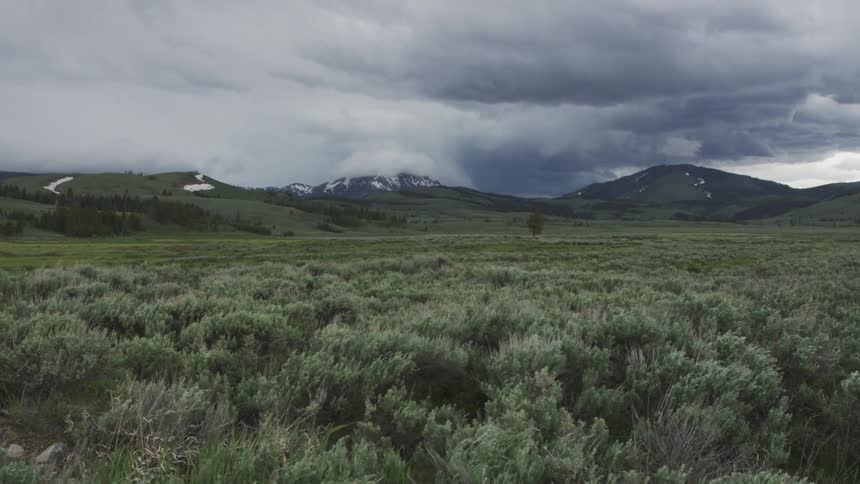 Wind blowing across a sagebrush filled landscape