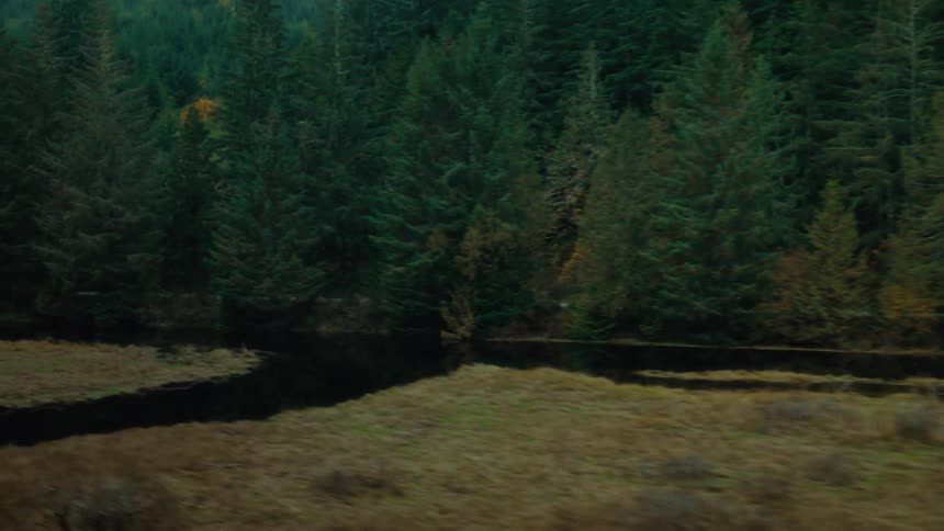 A truck is driving on the road past the forest