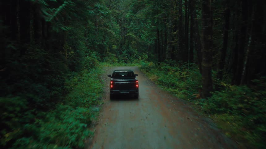 A pick up truck drives across a narrow forest road