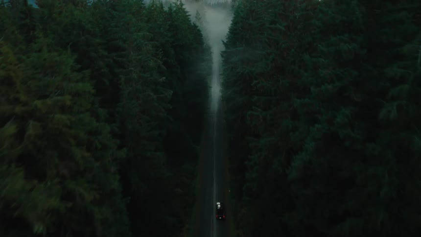 A car driving on a narrow road through the forest at morning