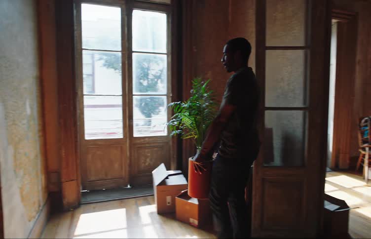 A young woman films a house with her smart phone while a young man walking between boxes of things carries a large potted plant to a corner