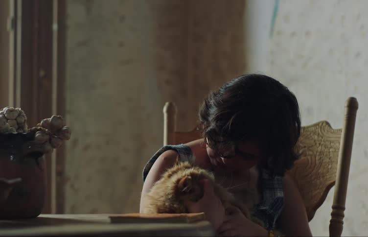 A girl is petting her cat and gives it a kiss