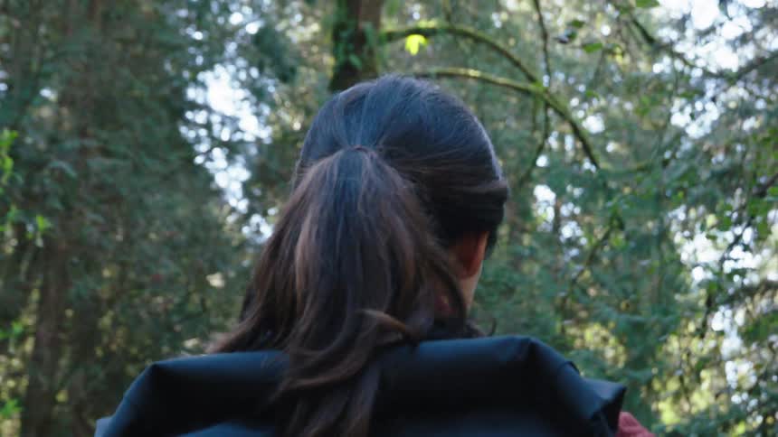 Woman with a backpack walking in a forest