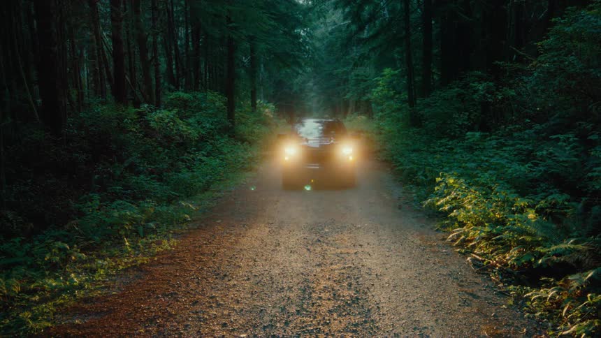 A truck drives down the dirt path in the woods