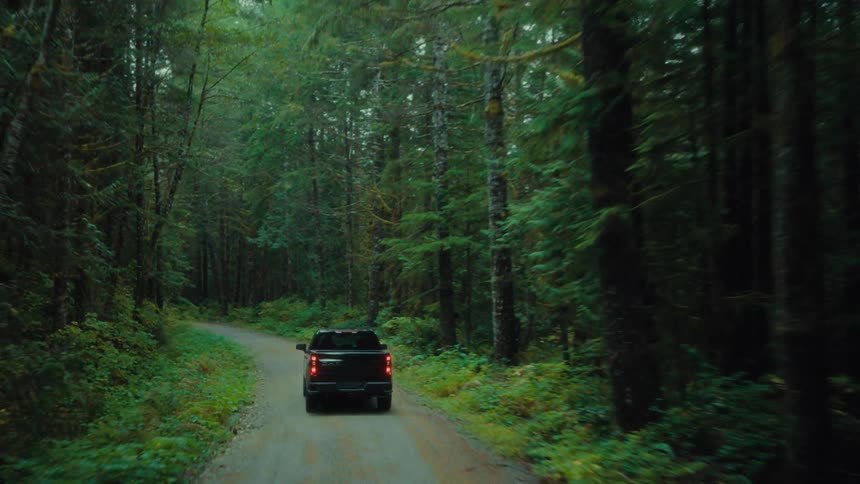 Black pickup truck on a narrow road through the forest