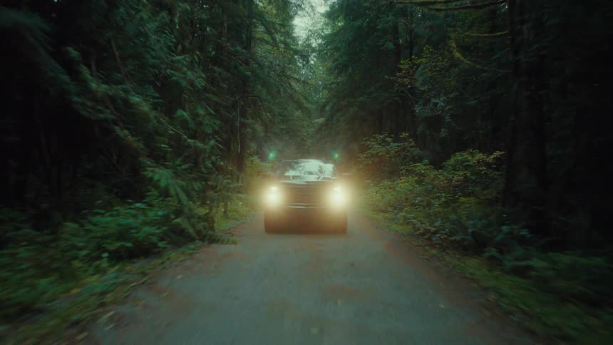 A black car with headlights on drives on a road throught the forest